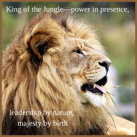 King of the Jungle – Power in Silence